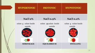 HYPERTONIC ISOTONIC HYPOTONIC
NaCl 2% NaCl 0.9% NaCl 0.2%
solute ‹ solute Inside
outside
solute =solute Inside
outside
solute › solute Inside
outside
SHRINKAGE EQUILIBRIUM SWELLING
37
 