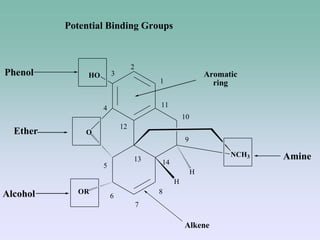 1
2
3
4
5
6
7
8
9
10
11
12
13 14
O
OR
H
HO
NCH3
H
Alcohol
Phenol
Amine
Ether
Potential Binding Groups
Aromatic
ring
Alkene
 