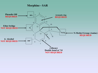 1
2
3
4
5
6
7
8
9
10
11
12
13 14
O
OR
H
HO
NCH3
H
6- Alcohol
NOT REQUIRED
N-Methyl Group (Amine)
REQUIRED
Ether bridge
NOT REQUIRED
Aromatic ring
REQUIRED
(Alkene)
Double bond at 7-8
NOT REQUIRED
Phenolic OH
REQUIRED
Morphine - SAR
 