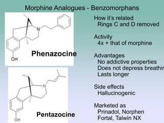 Morphine Analogues - Benzomorphans
How it’s related
Rings C and D removed
Activity
4x + that of morphine
Advantages
No addictive properties
Does not depress breathin
Lasts longer
Side effects
Hallucinogenic
Marketed as
Prinadol, Norphen
Fortal, Talwin NX
Phenazocine
Pentazocine
 