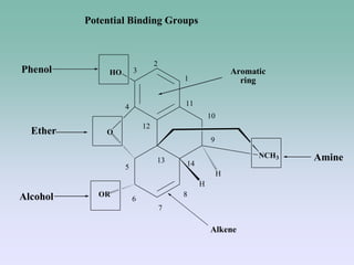 1
2
3
4
5
6
7
8
9
10
11
12
13 14
O
OR
H
HO
NCH3
H
Alcohol
Phenol
Amine
Ether
Potential Binding Groups
Aromatic
ring
Alkene
 