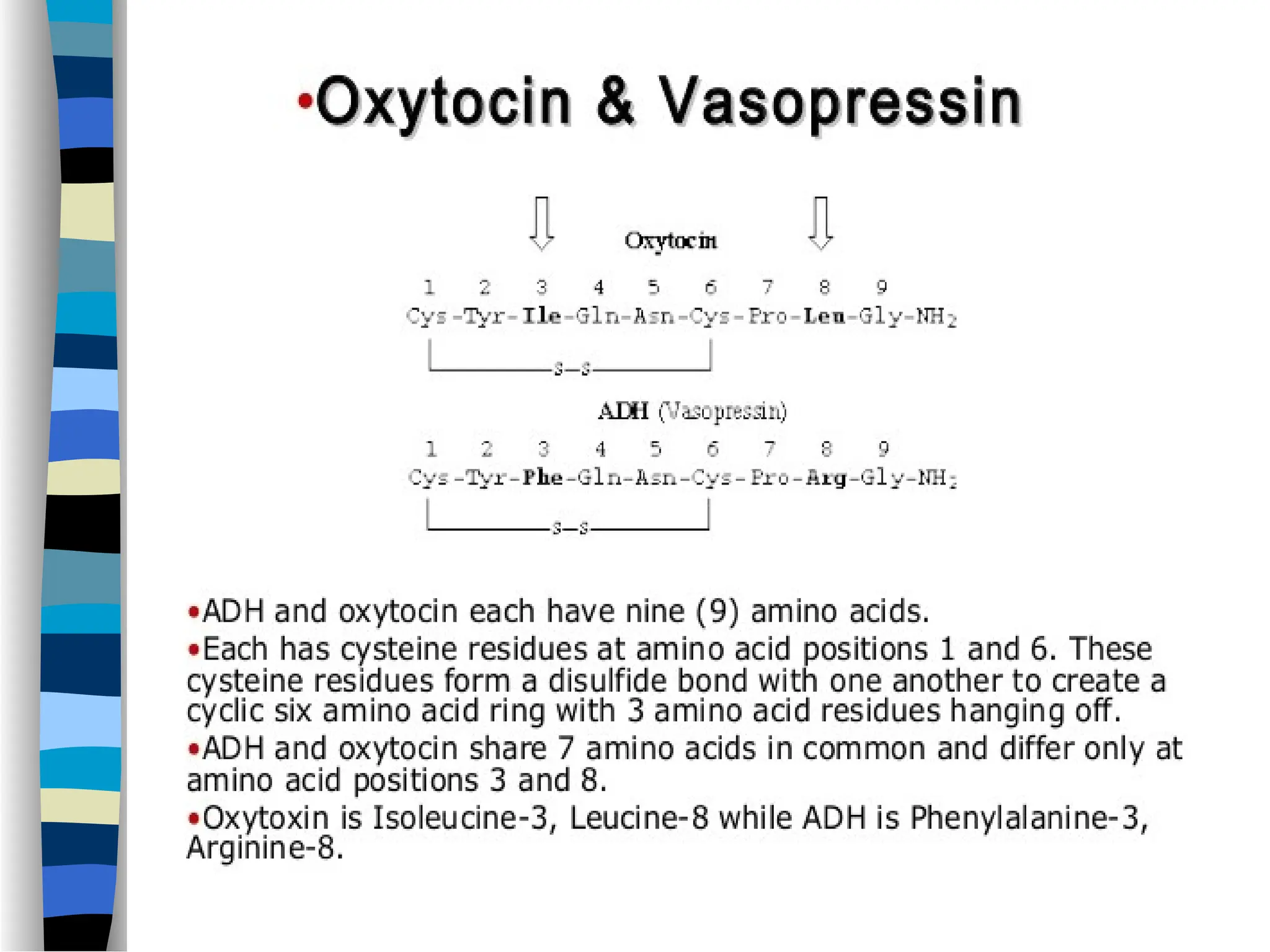 ******************/////==--
0099888776654321 `q
 