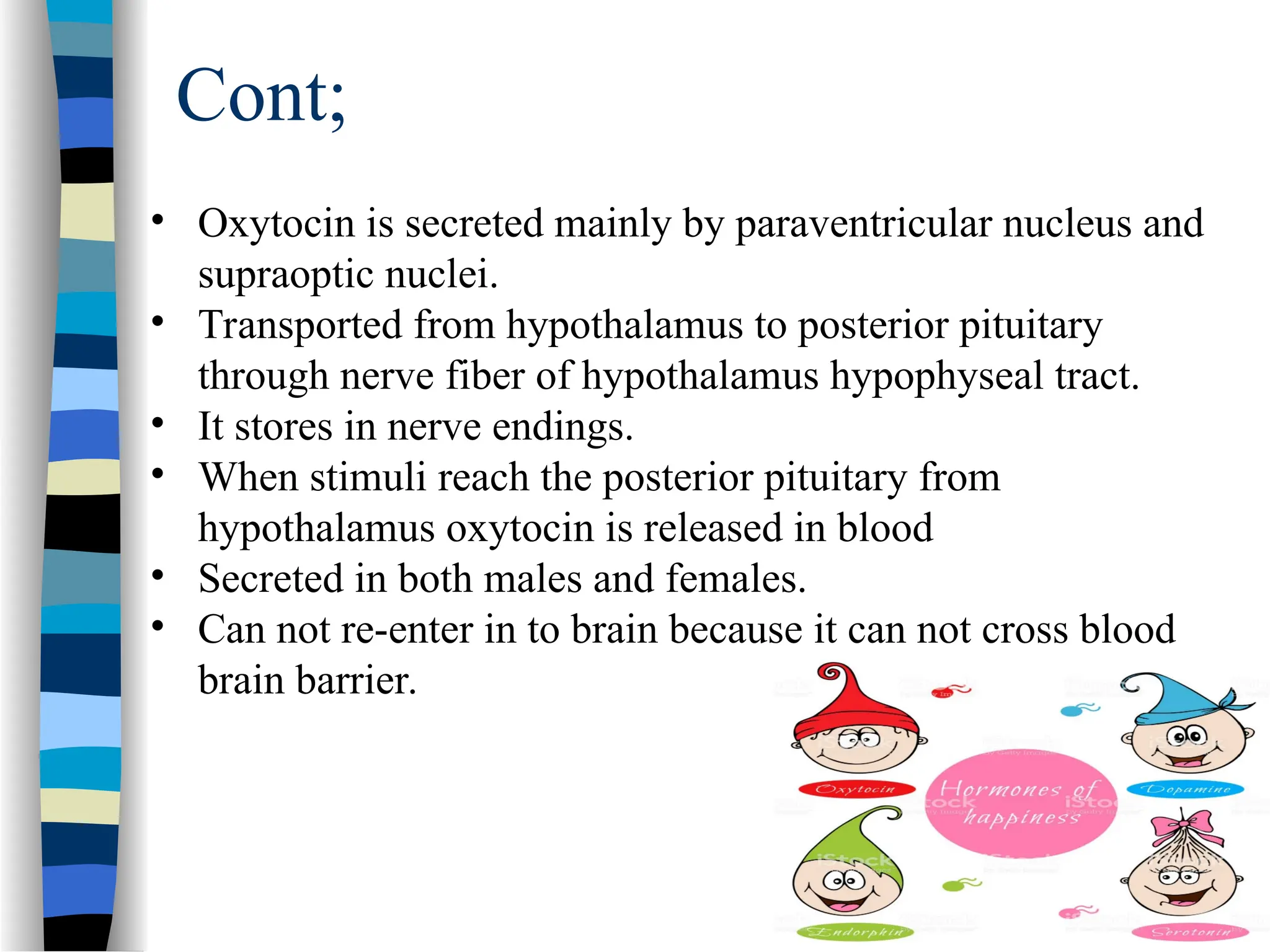 Cont;
• Oxytocin is secreted mainly by paraventricular nucleus and
supraoptic nuclei.
• Transported from hypothalamus to posterior pituitary
through nerve fiber of hypothalamus hypophyseal tract.
• It stores in nerve endings.
• When stimuli reach the posterior pituitary from
hypothalamus oxytocin is released in blood
• Secreted in both males and females.
• Can not re-enter in to brain because it can not cross blood
brain barrier.
 