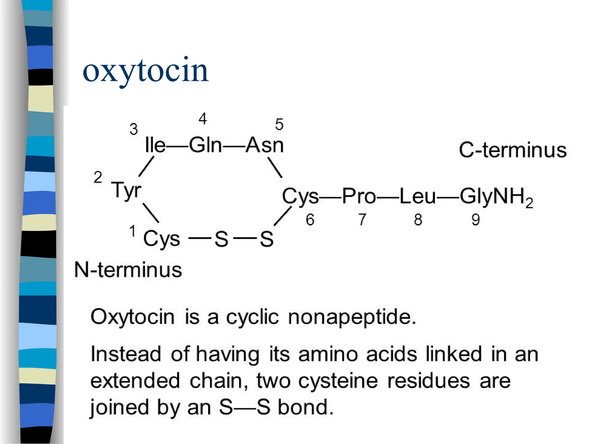 oxytocin
 