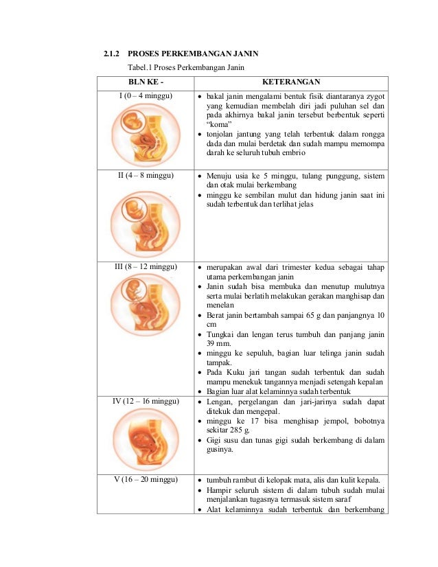 Pharmaceutical Care Ibu Hamil dan Menyusui