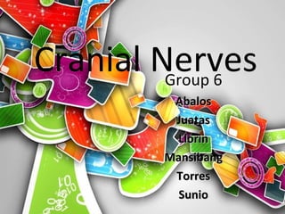 Cranial Nerves Group 6 Abalos Juatas Llorin Mansibang Torres Sunio 