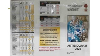 Comprehensive Guide to Antibiograms: Creation, Interpretation, and ...