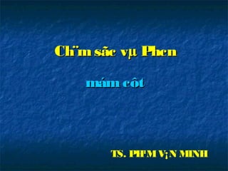 Ch¨msãc vµ PhcnCh¨msãc vµ Phcn
mámcôtmámcôt
TS. PH¹MV¡N MINH
 