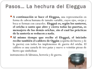 Pasos… La hechura del Eleggua
  A continuación se hace el Eleggua, una representación en
    forma de cabeza humana de tamaño variable, cuyos ojos, orejas y
    boca se forman con caracoles. Elegguá es, según los santeros,
    el oricha o santo que abre y cierra todas las puertas, es
    mensajero de los demás orichas, sin el cual las prácticas
    de la santería se reducen a nada.
  Al mismo tiempo que recibe el Elegguá, el iniciado
    recibe también el caldero de Oggún (espíritu del hierro y de
    la guerra) con todos los implementos de guerra del oricha. El
    caldero es una cazuela de tres patas y nueve o veintiún piezas de
    hierro que simbolizan
 instrumentos de labranza, herrería y de guerra.
 