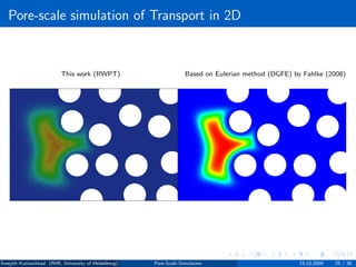 Pore-scale direct simulation of flow and transport in porous media | PDF