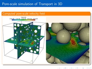 Pore-scale direct simulation of flow and transport in porous media | PDF