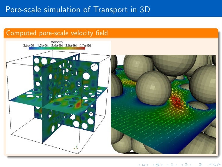 Pore-scale direct simulation of flow and transport in porous media