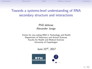 Introduction RNAscClust RAIN ceRNAs in leukemia Conclusion
Towards a systems-level understanding of RNA
secondary structure and interactions
PhD defense
Alexander Junge
Center for non-coding RNA in Technology and Health
Department of Veterinary and Animal Sciences
Faculty for Health and Medical Sciences
University of Copenhagen
June 23rd , 2017
1 / 42
 