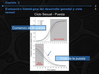 Capítulo  3 Evaluación histológica del desarrollo gonadal y ciclo sexual Ciclo Sexual - Puesta 26 Comienzo de la puesta Final de la puesta 