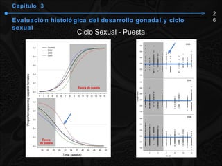 Capítulo  3 Evaluación histológica del desarrollo gonadal y ciclo sexual Ciclo Sexual - Puesta 26 