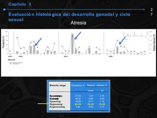Capítulo  3 Evaluación histológica del desarrollo gonadal y ciclo sexual Atresia 27 Maturity stage Prevalence % Relative intensity % mean sd Developing 21.43 1.57 2.74 Spawning Capable 48.37 2.88 3.43 Actively Spawning 19.92 0.71 1.14 Regressing 98.86 20.20 18.60 Regenerating 4.24 0.06 0.17 