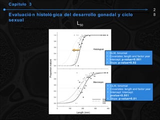 150.6 mm Capítulo  3 Evaluación histológica del desarrollo gonadal y ciclo sexual L 50 28 GLM, binomial Covariates: length and factor year  Intercept:  p-value<0.001 Slope:  p-value=0.02 GLM, binomial Covariates: length and factor year Intercept: Intercept:  pvalue<0.001 Slope:  p-value=0.01 