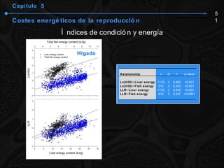 Capítulo  5 Costes energéticos de la reproducción Índices de condición y energía 51 Hígado Relationship n df r 2 p-value Ln(HSI)~Liver energy 1172 3 0.462 <0.001 Ln(HSI)~Fish energy 513 3 0.330 <0.001 LLR~Liver energy 1172 3 0.544 <0.001 LLR~Fish energy 513 3 0.337 <0.0001 