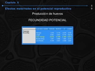 Capítulo  6 Efectos maternales en el potencial reproductivo Producción de huevos FECUNDIDAD POTENCIAL 59 Explanatory variable Estimate Std.Error Z p-value Potential fecundity Intercept -1.918 5.110 -0.375 0.707 Length  0.020 0.002 12.781 <2e-16 Liver energy 0.616 0.248 2.486 0.013 Muscle energy 1.534 0.989 1.550 0.121 Liver:Muscle -0.109 0.047 -2.308 0.021 