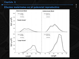 Capítulo  6 Efectos maternales en el potencial reproductivo 67 