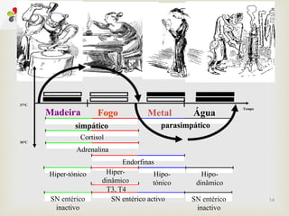 
14
T3, T4
Hiper-
dinâmico
simpático parasimpático
Cortisol
Adrenalina
Endorfinas
SN entérico activo
Hiper-tónico Hipo-
tónico
Hipo-
dinâmico
SN entérico
inactivo
SN entérico
inactivo
37°C
Tempo
38°C
36°C
Madeira Metal ÁguaFogo
 