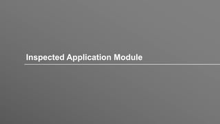 Inspected Application Module
 