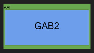AVI
GAB2
 