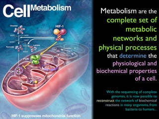 Metabolism are the
complete set of
metabolic
networks and
physical processes
that determine the
physiological and
biochemi...