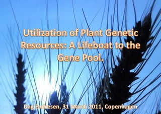 Utilization of Plant Genetic Resources: A Lifeboat to the Gene Pool. Dag Endresen, 31 March 2011, Copenhagen 