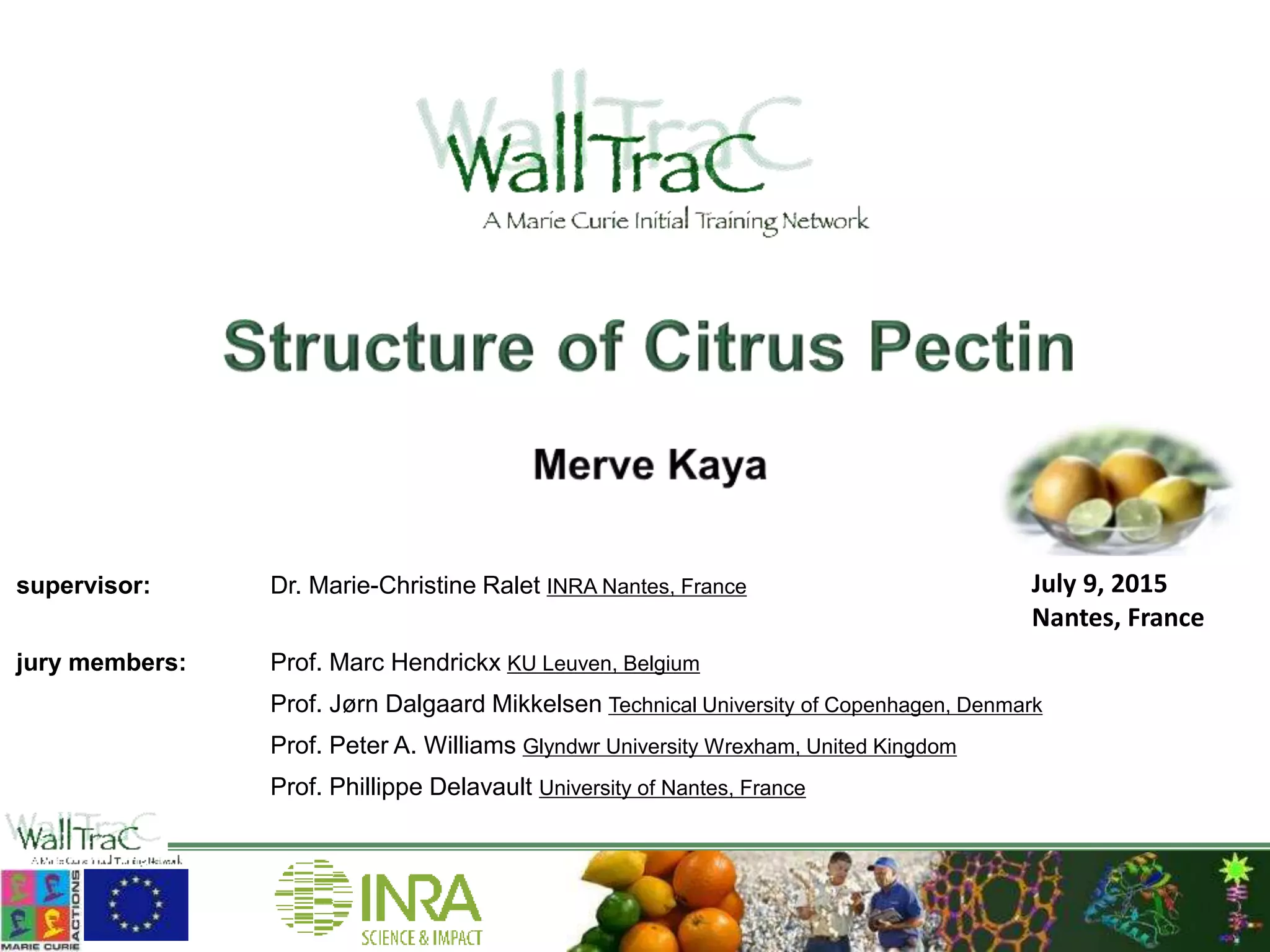 Dr. Merve Kaya Structure of Citrus Pectine PPT