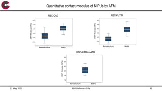 Afm Box Rbc PhD Defense | PPTX