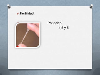 O Fertilidad:
O Ph: acido
O 4,5 y 5
 