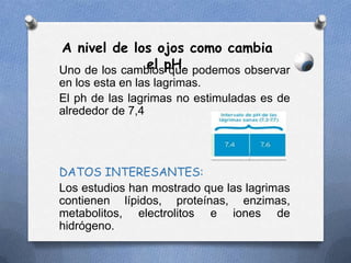 Uno de los cambios que podemos observar
en los esta en las lagrimas.
El ph de las lagrimas no estimuladas es de
alrededor de 7,4
DATOS INTERESANTES:
Los estudios han mostrado que las lagrimas
contienen lípidos, proteínas, enzimas,
metabolitos, electrolitos e iones de
hidrógeno.
A nivel de los ojos como cambia
el pH.
 