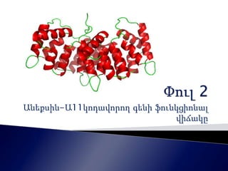 Անեքսին-Ա11կոդավորող գենի ֆունկցիոնալ 
վիճակը 
 
