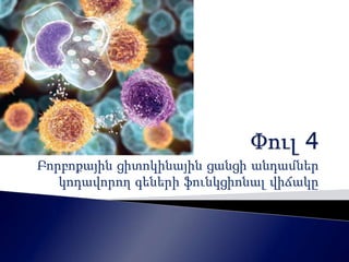 Բորբոքային ցիտոկինային ցանցի անդամներ 
կոդավորող գեների ֆունկցիոնալ վիճակը 
 