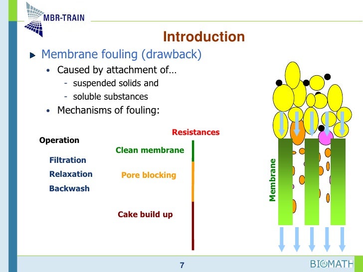 Understanding hydrodynamics in membrane bioreactor systems for wastew…
