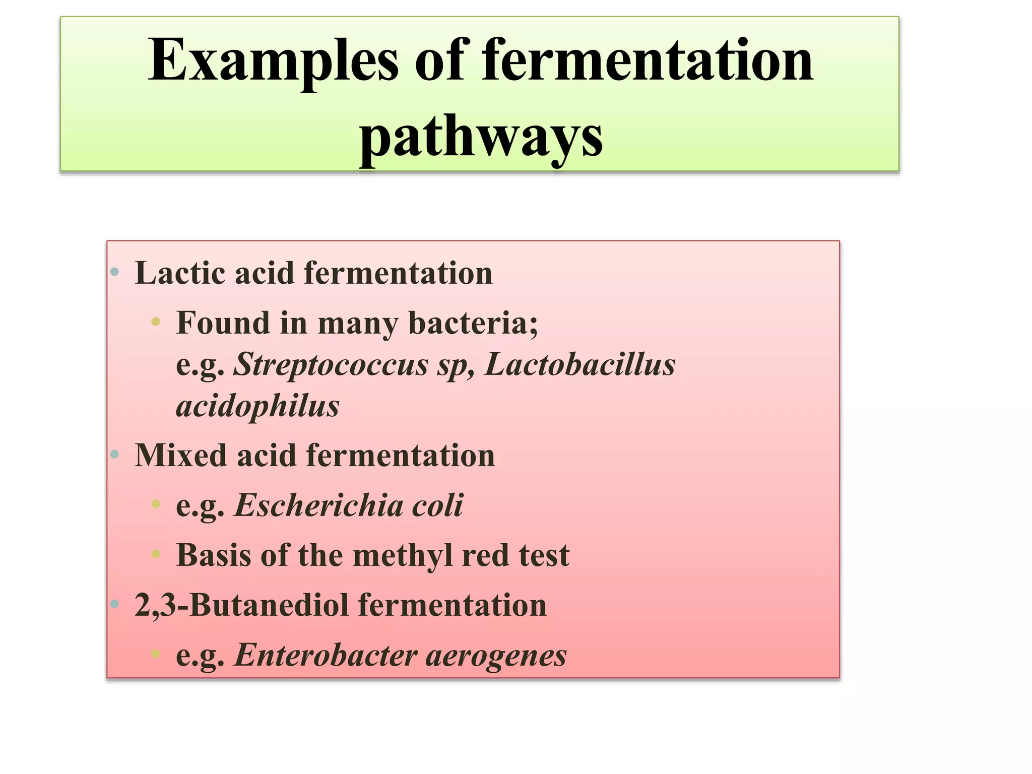 Examples of fermentation
pathways
• Lactic acid fermentation
• Found in many bacteria;
e.g. Streptococcus sp, Lactobacillus
acidophilus
• Mixed acid fermentation
• e.g. Escherichia coli
• Basis of the methyl red test
• 2,3-Butanediol fermentation
• e.g. Enterobacter aerogenes
 