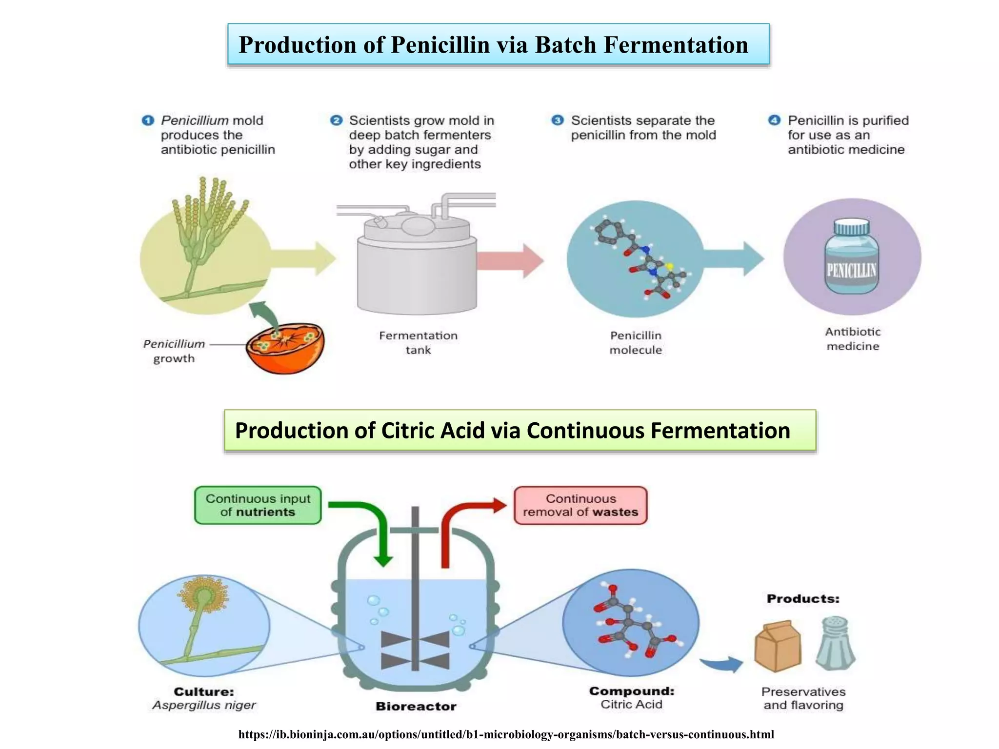 Production of Penicillin via Batch Fermentation
Production of Citric Acid via Continuous Fermentation
https://ib.bioninja.com.au/options/untitled/b1-microbiology-organisms/batch-versus-continuous.html
 