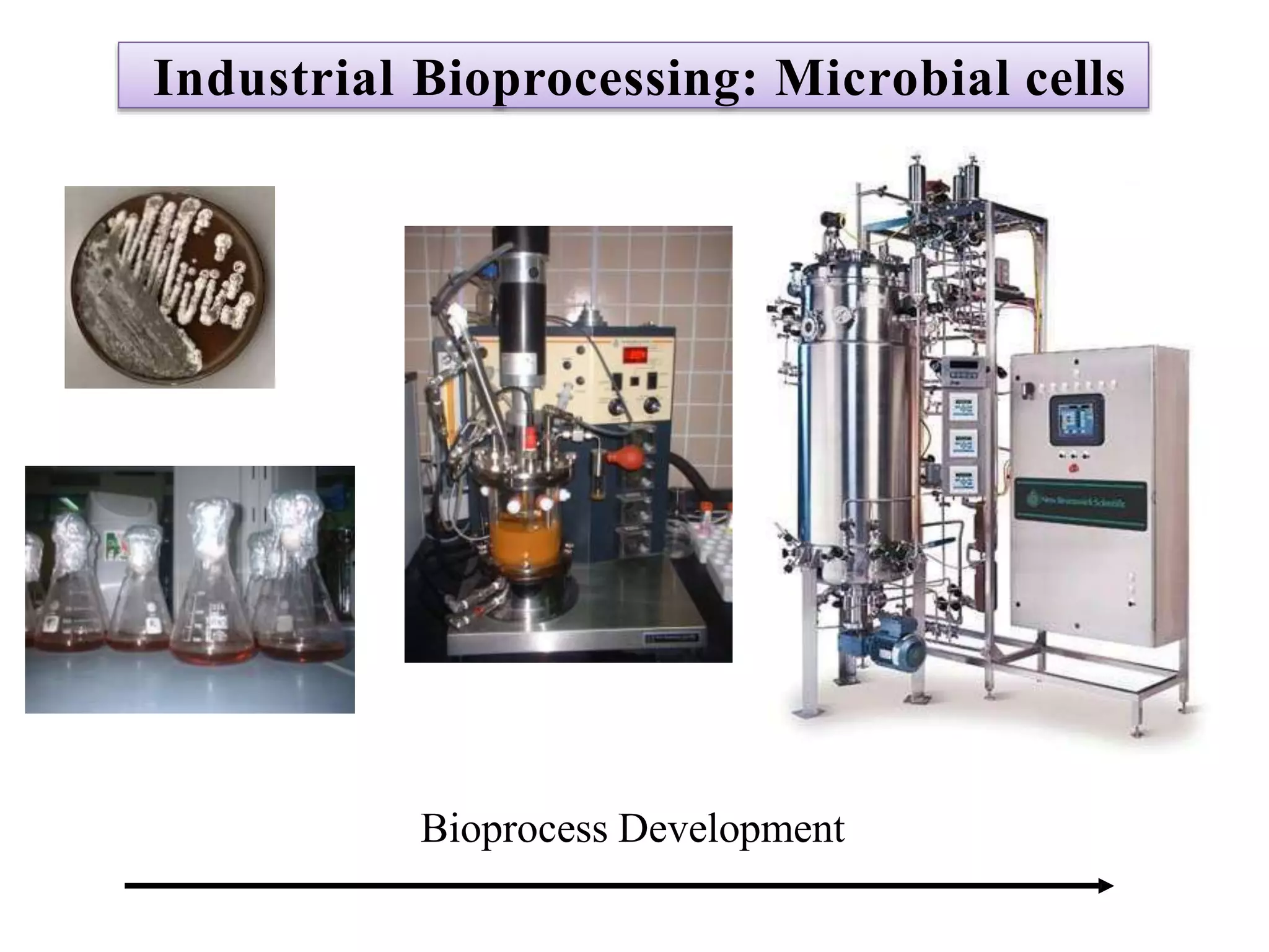 Bioprocess Development
Industrial Bioprocessing: Microbial cells
 