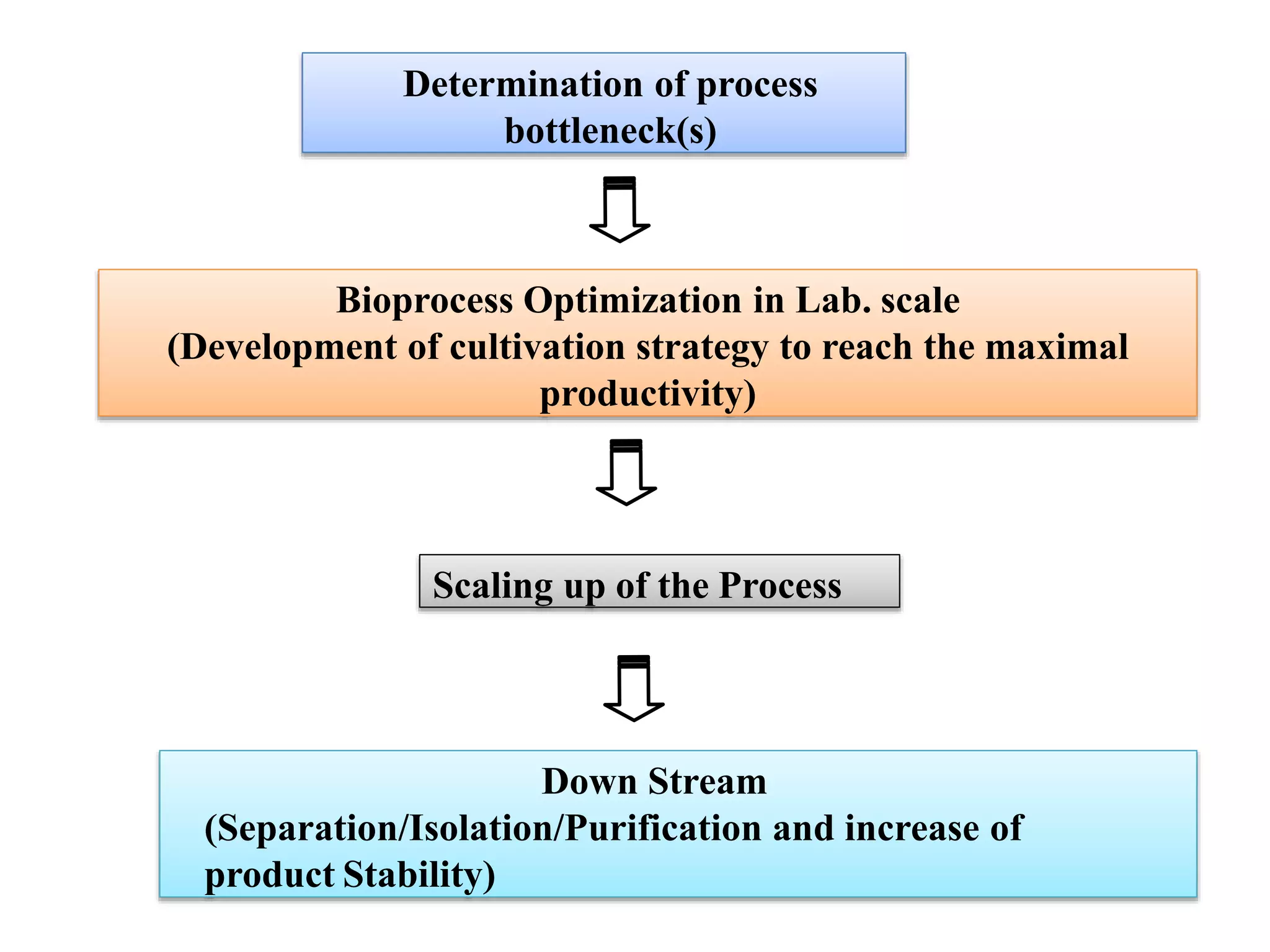 Bioprocess Optimization in Lab. scale
(Development of cultivation strategy to reach the maximal
productivity)
Scaling up of the Process
Down Stream
(Separation/Isolation/Purification and increase of
product Stability)
Determination of process
bottleneck(s)
 