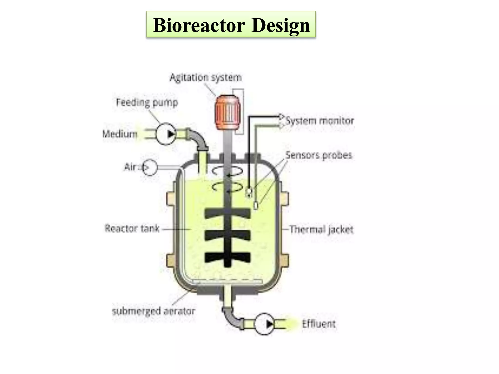 Bioreactor Design
 