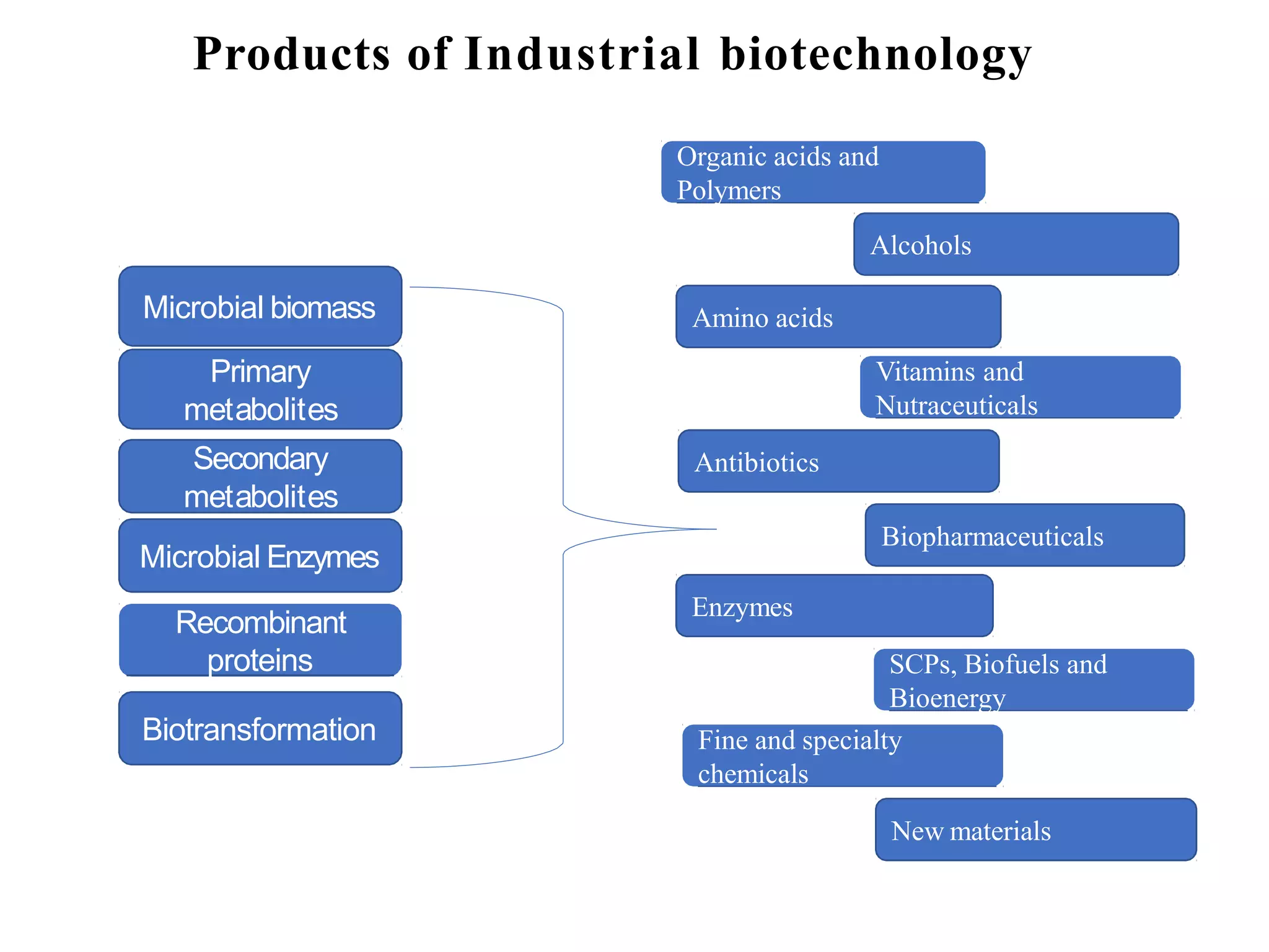 Products of Industrial biotechnology
Primary
metabolites
Secondary
metabolites
Organic acids and
Polymers
Alcohols
Vitamins and
Nutraceuticals
Antibiotics
Biopharmaceuticals
Enzymes
SCPs, Biofuels and
Bioenergy
Fine and specialty
chemicals
New materials
Amino acids
Microbial biomass
Microbial Enzymes
Recombinant
proteins
Biotransformation
 