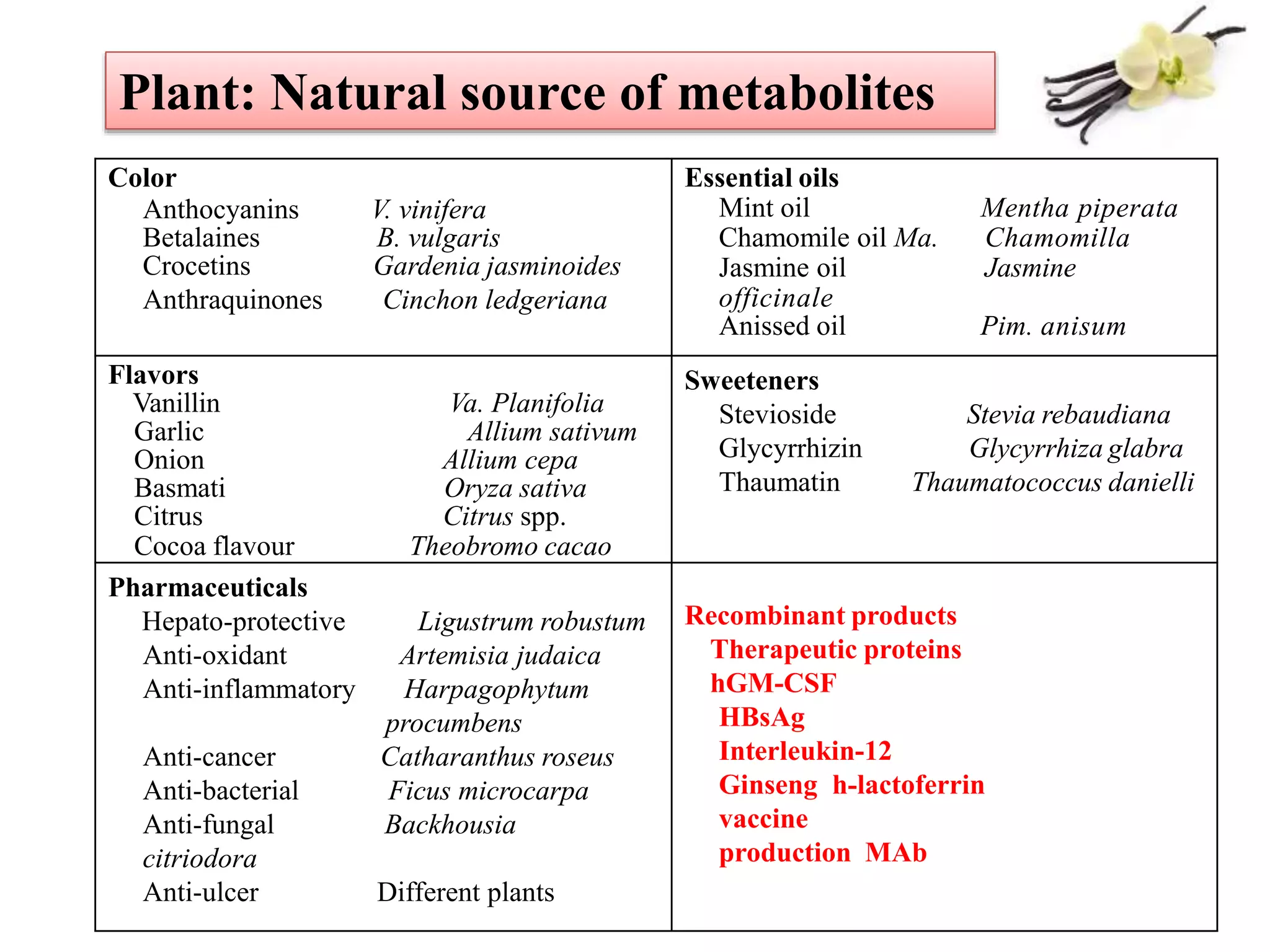Color Essential oils
Mint oil Mentha piperata
Chamomile oil Ma. Chamomilla
Jasmine oil Jasmine
officinale
Anissed oil Pim. anisum
Anthocyanins V. vinifera
Betalaines B. vulgaris
Crocetins Gardenia jasminoides
Anthraquinones Cinchon ledgeriana
Flavors Sweeteners
Stevioside Stevia rebaudiana
Glycyrrhizin Glycyrrhiza glabra
Thaumatin Thaumatococcus danielli
Vanillin Va. Planifolia
Garlic Allium sativum
Onion Allium cepa
Basmati Oryza sativa
Citrus Citrus spp.
Cocoa flavour Theobromo cacao
Pharmaceuticals
Hepato-protective Ligustrum robustum
Anti-oxidant Artemisia judaica
Anti-inflammatory Harpagophytum
procumbens
Anti-cancer Catharanthus roseus
Anti-bacterial Ficus microcarpa
Anti-fungal Backhousia
citriodora
Anti-ulcer Different plants
Recombinant products
Therapeutic proteins
hGM-CSF
HBsAg
Interleukin-12
Ginseng h-lactoferrin
vaccine
production MAb
Plant: Natural source of metabolites
 