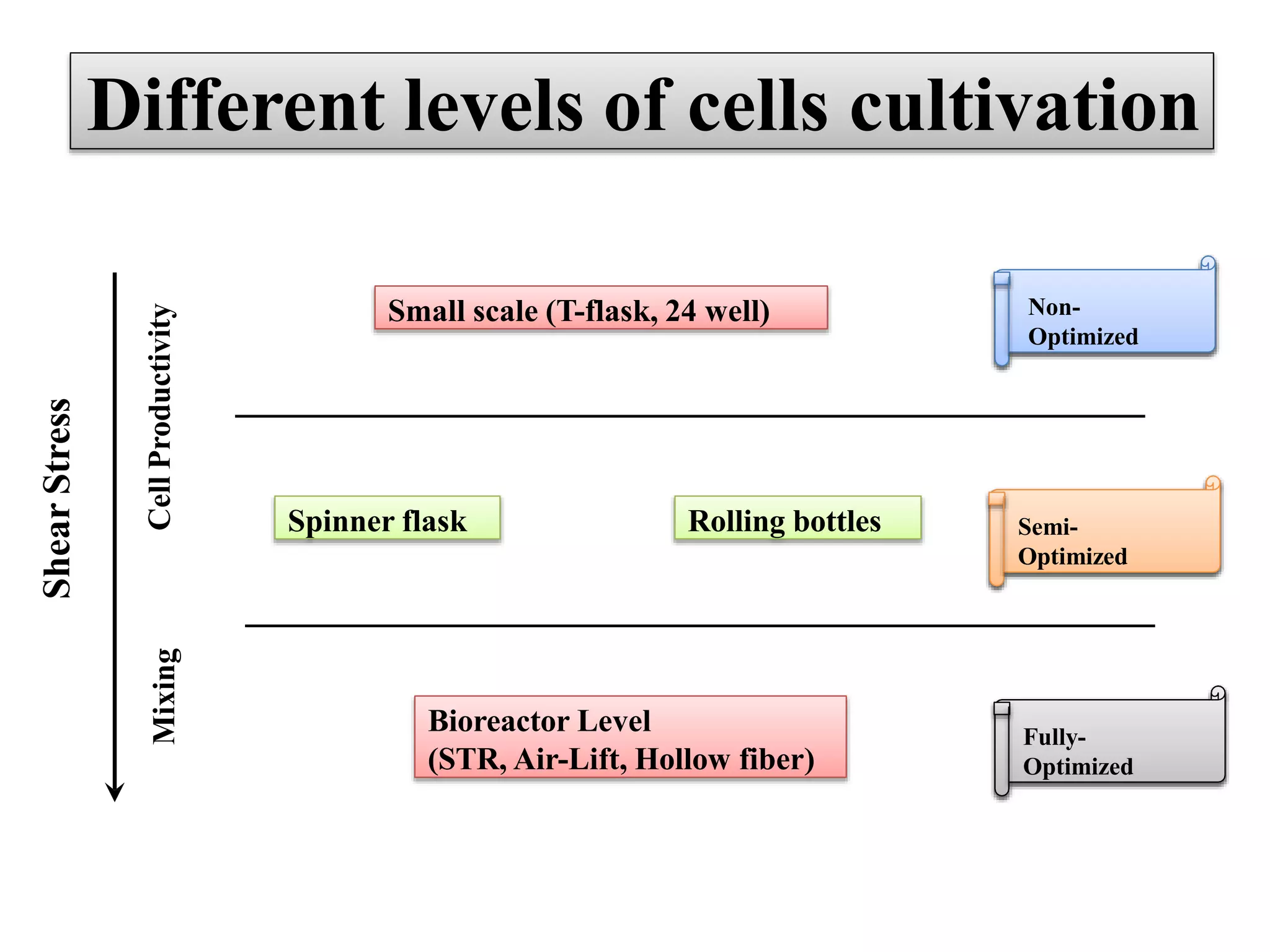 Different levels of cells cultivation
Small scale (T-flask, 24 well)
Spinner flask Rolling bottles
Bioreactor Level
(STR, Air-Lift, Hollow fiber)
Shear
Stress
Mixing
Cell
Productivity
Non-
Optimized
Semi-
Optimized
Fully-
Optimized
 