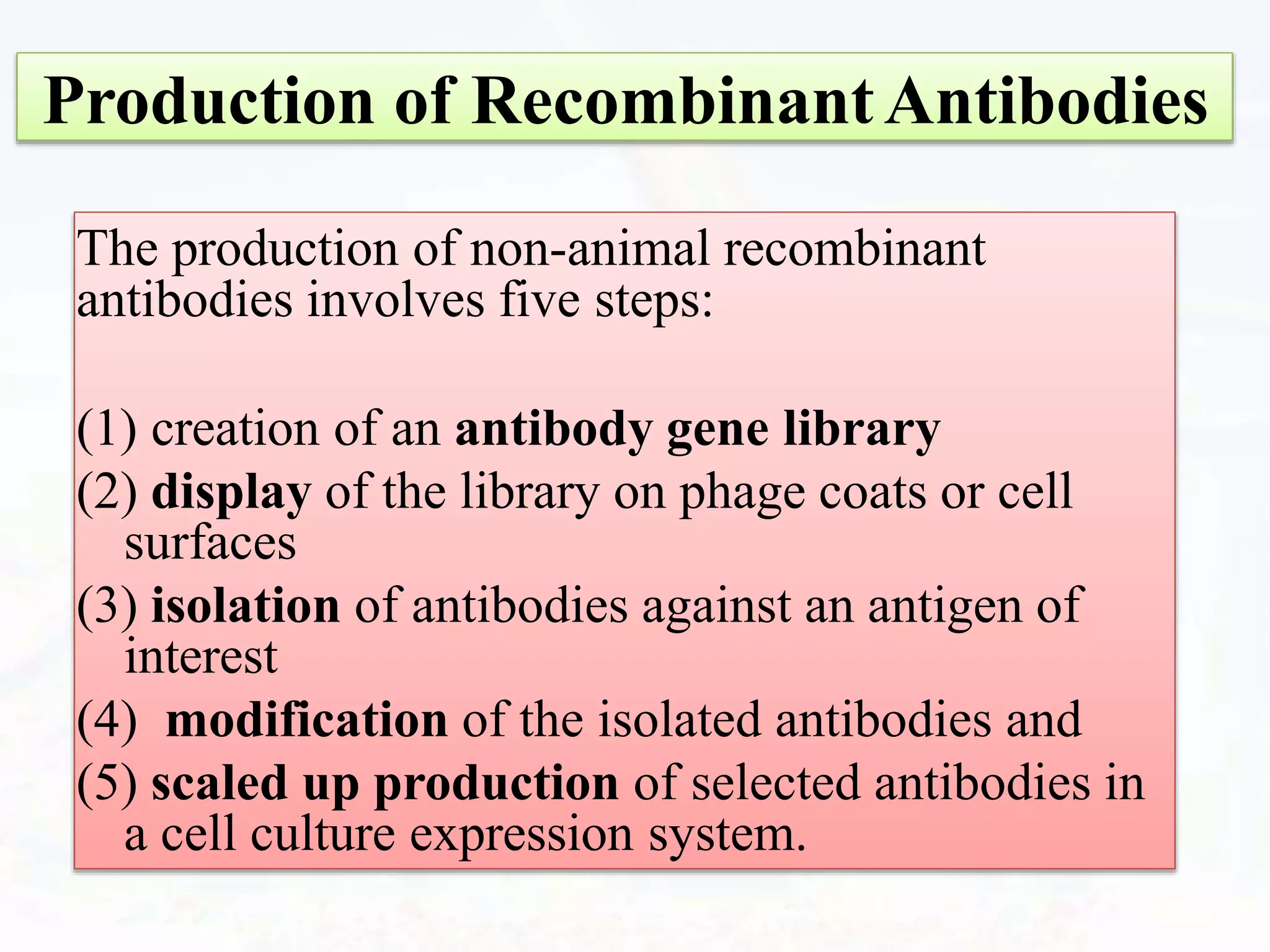 Production of RecombinantAntibodies
The production of non-animal recombinant
antibodies involves five steps:
(1) creation of an antibody gene library
(2) display of the library on phage coats or cell
surfaces
(3) isolation of antibodies against an antigen of
interest
(4) modification of the isolated antibodies and
(5) scaled up production of selected antibodies in
a cell culture expression system.
 