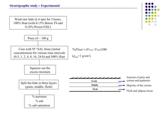Split the hide in three layers (grain, middle, flesh) Piece of ~ 100 g Cure with 95 °SAL brine (initial concentration) for various time intervals (0.5, 1, 2, 4, 8, 16, 24 h) and 500% float Squeeze out the excess moisture % moisture % ash % salt saturation Wash raw hide @ 6 rpm for 2 hours, 100% float (with 0.15% Boron TS and 0.10% Proxel GXL) Flesh Middle Grain Flesh and adipose tissue Junction of grain and corium and epidermis Majority of the corium Stratrigraphic study  –  Experimental ( ρ hide = 1 g/cm 3 ) 