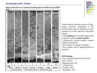 Back-scattered/Low Vacuum Scanning Electron Microscope (SEM-BSE) Backscattered electrons consist of high-energy electrons originating in the electron beam, that are reflected or back-scattered out of the specimen interaction volume.  The  brightness  of the BSE image tends to increase with the  atomic number .   High-quality atomic number contrast images are produced. No conductive coating is required. Wet samples can be imaged directly as received.  SEM Settings Low Vacuum Mode ON (0.98 Torr) HV: 25.0 kV Magnification: 50x 3.0 Spot Size Contrast: 88.0 Brightness: 44.9 Stratrigraphic study  –  Results 