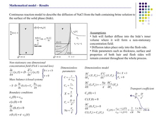 Continuous reaction model to describe the diffusion of NaCl from the bath containing brine solution to the surface of the solid phase (hide).  Assumptions Salt will further diffuse into the hide’s inner volume where it will form a non-stationary concentration field.  Diffusion takes place only into the flesh side. Hide parameters such as thickness, surface and properties of both hair and flesh sides will remain constant throughout the whole process.  Non-stationary one dimensional concentration field (Fick´s second law) Mass balance (closed system) Boundary conditions Dimensionless parameters Dimensionless model Transport coefficient  Mathematical model – Results 