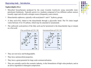 Microbial biosurfactants produced by the yeast  Candida bombicola  using renewable (non-petroleum) feedstocks. Typically grown in a medium composed of two different carbon sources (usually sugar and oil) and a nitrogen source (frequently yeast extract).   Disaccharide sophorose, typically with acetylated 6’ and 6’’ hydroxy groups. A fatty acid (FA), linked to the disaccharide through a glycosidic bond. The FA chain length varies between 16 to 18 carbons, which may be saturated or unsaturated. The carboxylic acid portion of the fatty acid can be lactonized to the disaccharide ring or remain as a free acid. They are non-toxic and biodegradable.  They have antimicrobial properties.  They have a great potential for large scale commercialization. They are currently used in the cosmetic industry, in the formulation of high value products, and as an active ingredient in detergent composition.  Sophorolipids (SLs) Lactonized form of C18:1 SL Free acid form of C18:1 SL Degreasing study – Introduction 