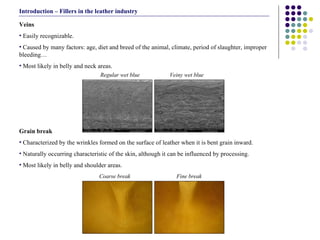 Veins  Easily recognizable. Caused by many factors: age, diet and breed of the animal, climate, period of slaughter, improper bleeding… Most likely in belly and neck areas. Grain break Characterized by the wrinkles formed on the surface of leather when it is bent grain inward.  Naturally occurring characteristic of the skin, although it can be influenced by processing.  Most likely in belly and shoulder areas. Introduction – Fillers in the leather industry Coarse break Fine break Veiny wet blue Regular wet blue 